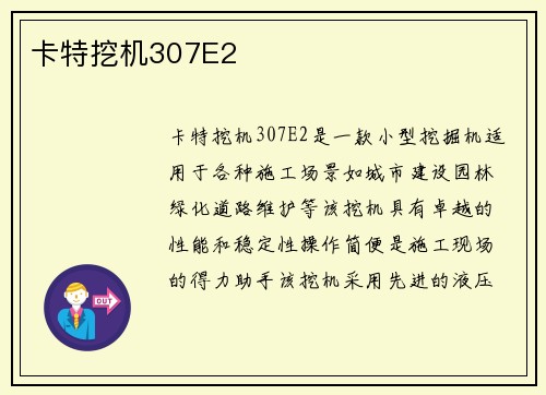 卡特挖机307E2
