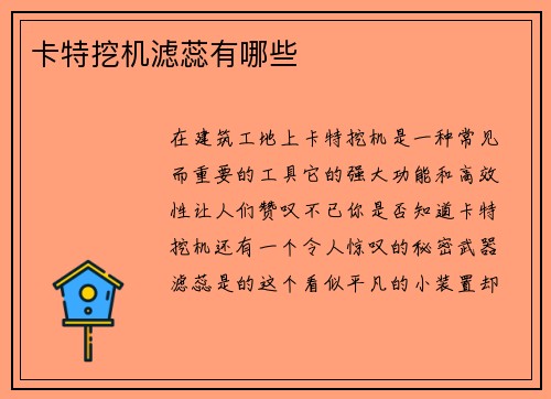 卡特挖机滤蕊有哪些